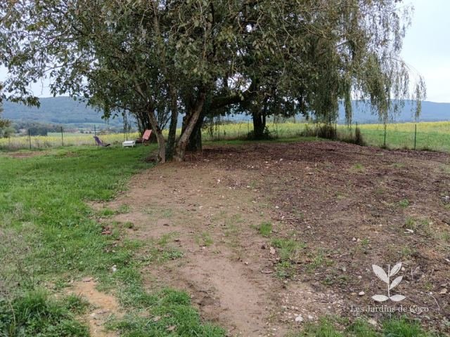 Terrain de campagne avant remise en état, sous de grands arbres